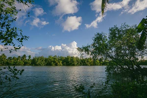 看到开云官网的战术贴，这个 4-2-2-2 阵型简直是防守噩梦。